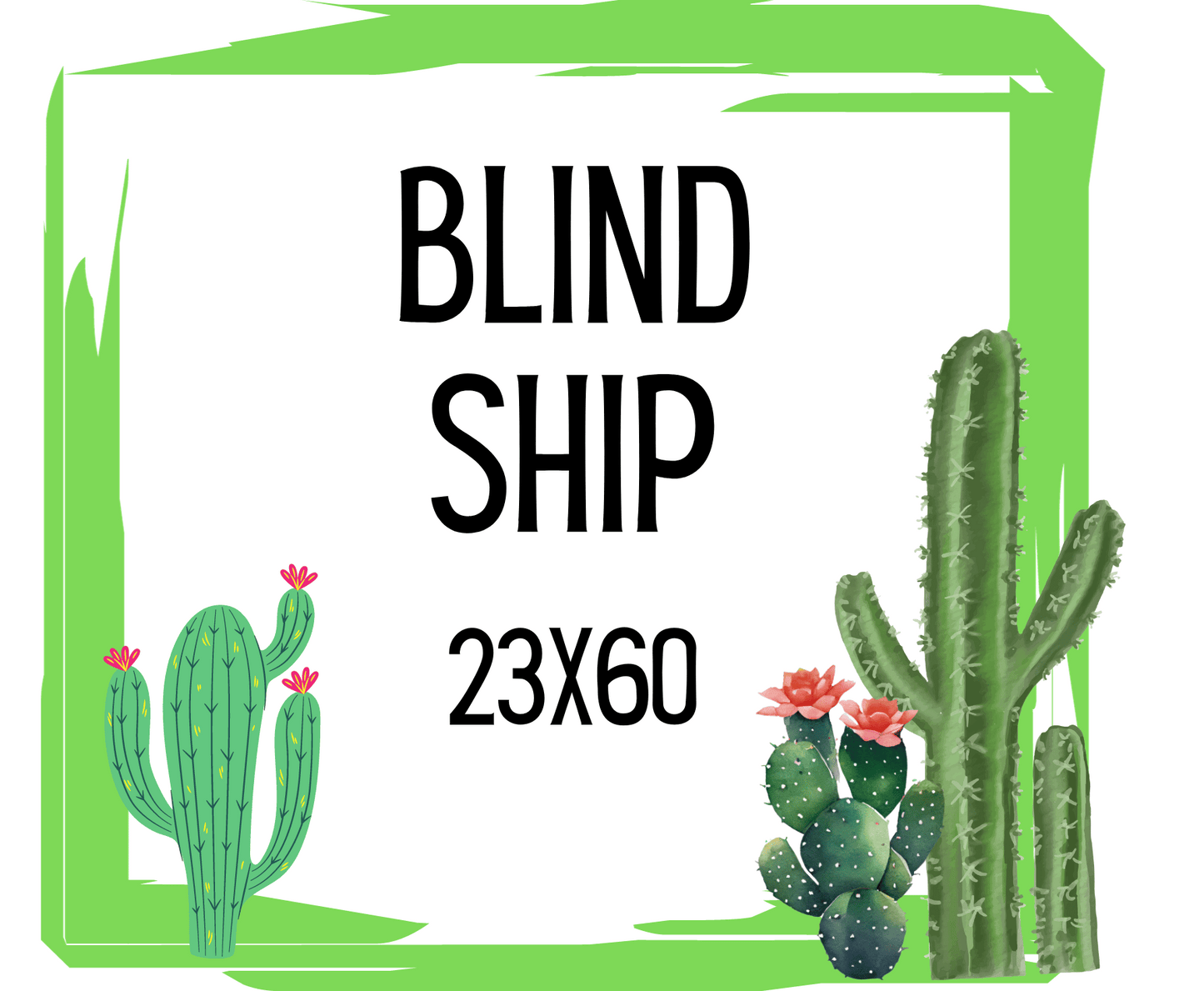 Blind Ship LSS WS