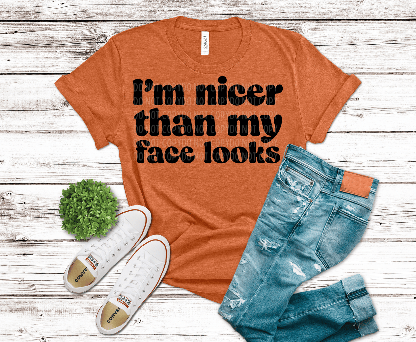 I'm Nicer Than My Face Looks | DTF - Griffin Expressions