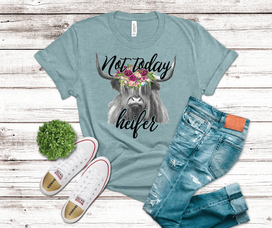 Not Today Heifer 2 | DTF - Griffin Expressions