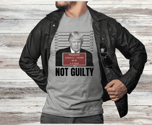 Trump Not Guilty 23 | DTF